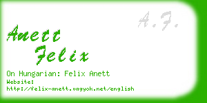 anett felix business card